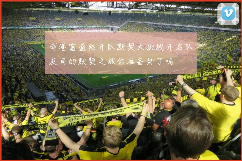 海港富盛经开队默契大挑战开启队友间的默契之旅你准备好了吗